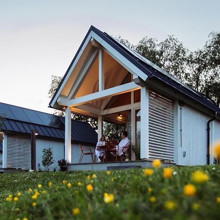 Tiny house - vakantiepark de Schreiershoek Dokkum Kamer foto